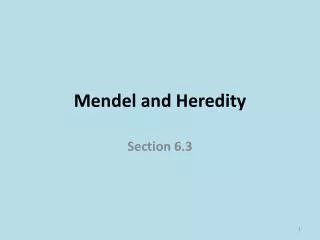 mendel and heredity