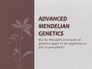 Advanced Mendelian Genetics