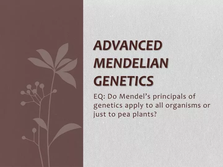 advanced mendelian genetics