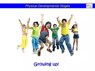 Physical Developmental Stages