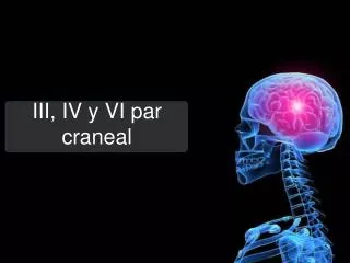 iii iv y vi par craneal