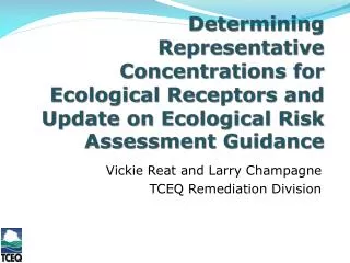 Vickie Reat and Larry Champagne TCEQ Remediation Division