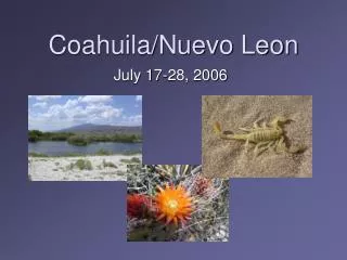 Coahuila/Nuevo Leon