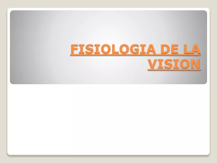 fisiologia de la vision