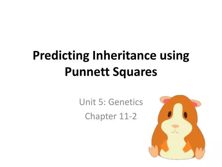 predicting inheritance using punnett squares