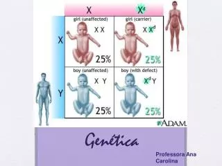 gen tica