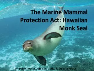 The Marine Mammal Protection Act: Hawaiian Monk Seal