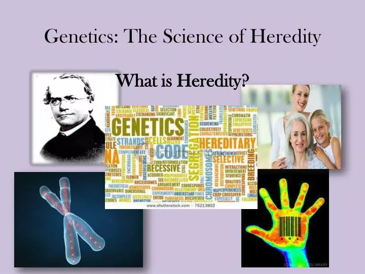 genetics the science of heredity