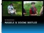 Mussels &amp; Diving Beetles - slide 1