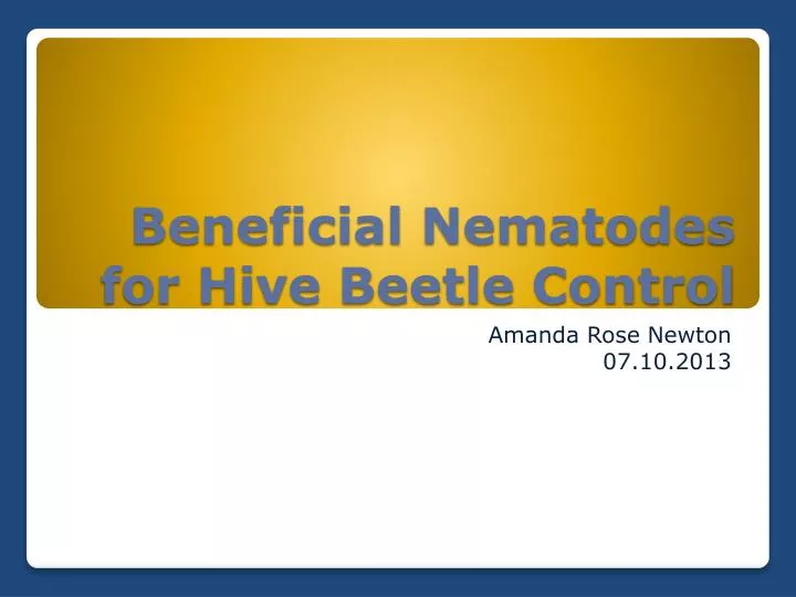 beneficial nematodes for hive beetle control