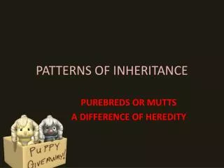 PATTERNS OF INHERITANCE