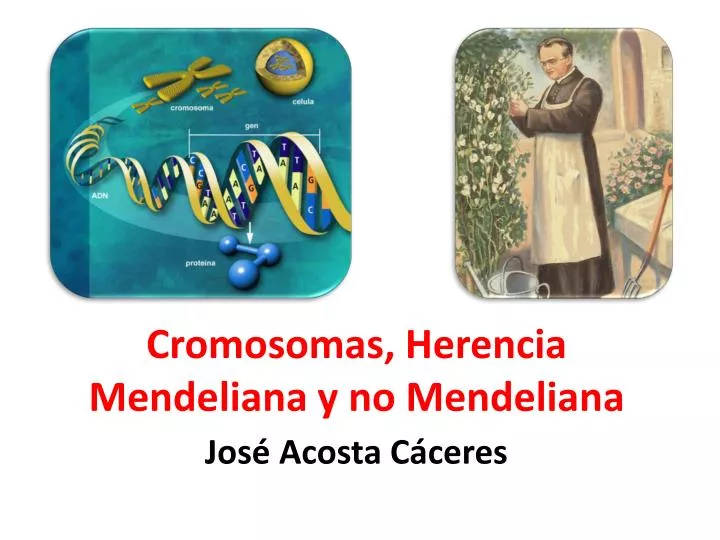 cromosomas herencia mendeliana y no mendeliana
