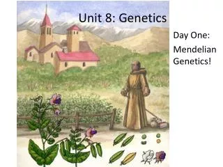 Unit 8: Genetics