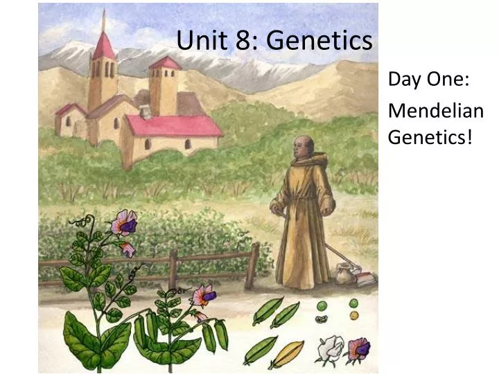 unit 8 genetics