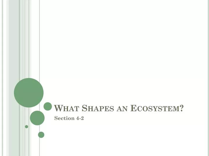 what shapes an ecosystem