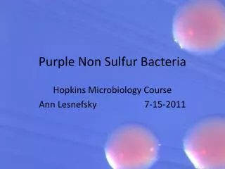 Purple Non Sulfur Bacteria