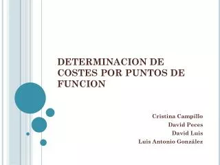 determinacion de costes por puntos de funcion