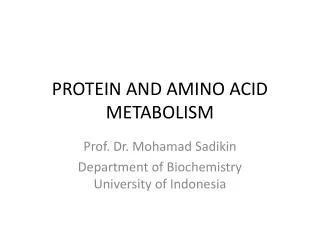 PROTEIN AND AMINO ACID METABOLISM