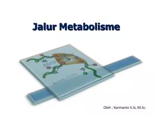 Jalur Metabolisme