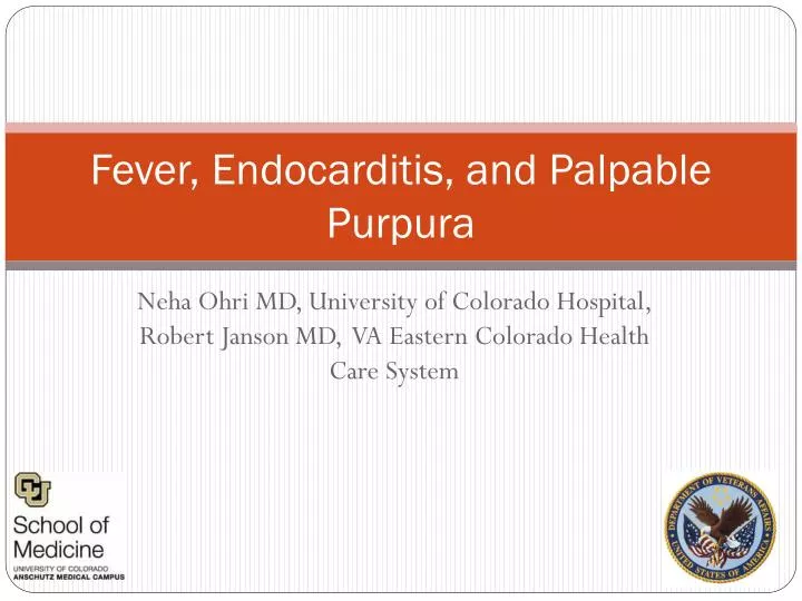 fever endocarditis and palpable purpura