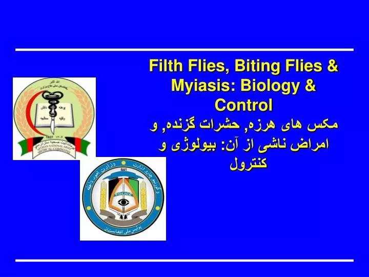 filth flies biting flies myiasis biology control