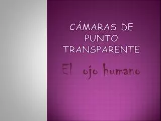 c maras de punto transparente