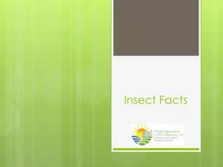Insect Facts