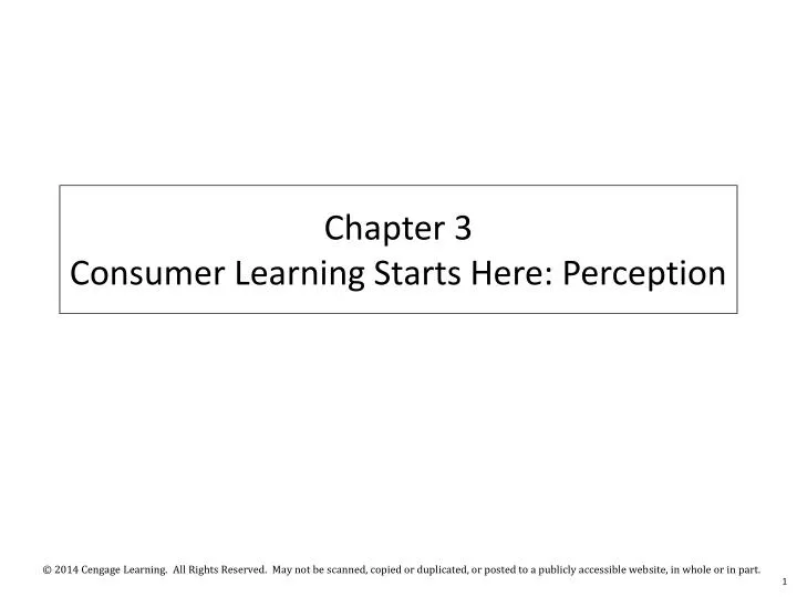 chapter 3 consumer learning starts here perception