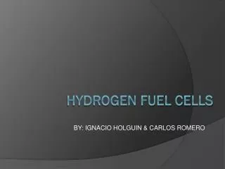 HYDROGEN FUEL CELLS