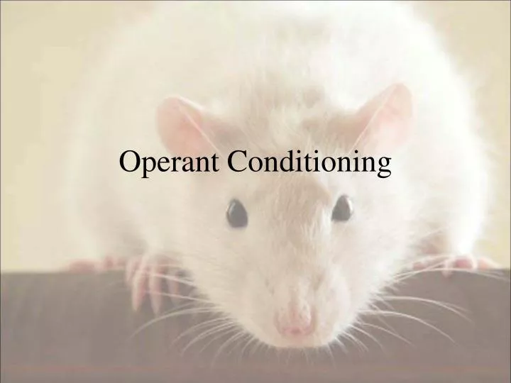 operant conditioning