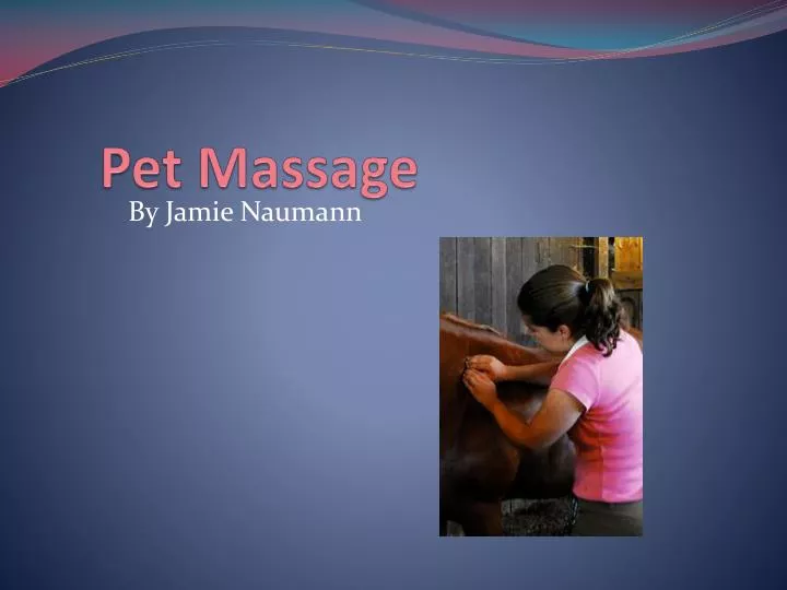 pet massage