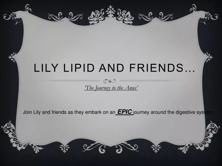 lily lipid and friends