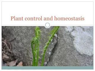 Plant control and homeostasis