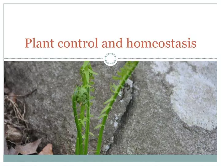 plant control and homeostasis