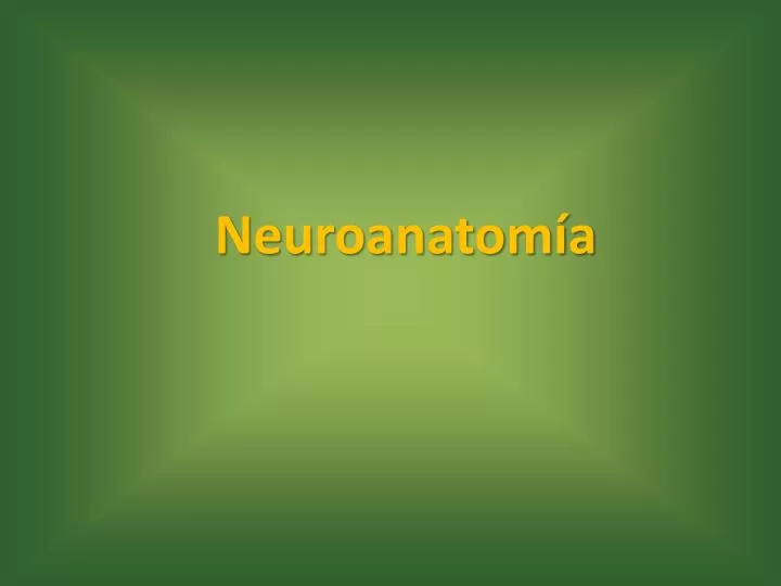 neuroanatom a