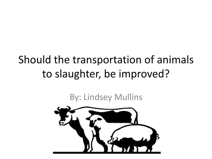 should the transportation of animals to slaughter be improved