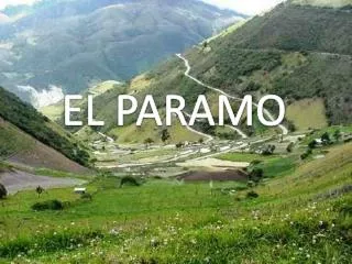 EL PARAMO