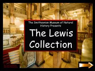 The Smithsonian Museum of Natural History Presents The Lewis Collection