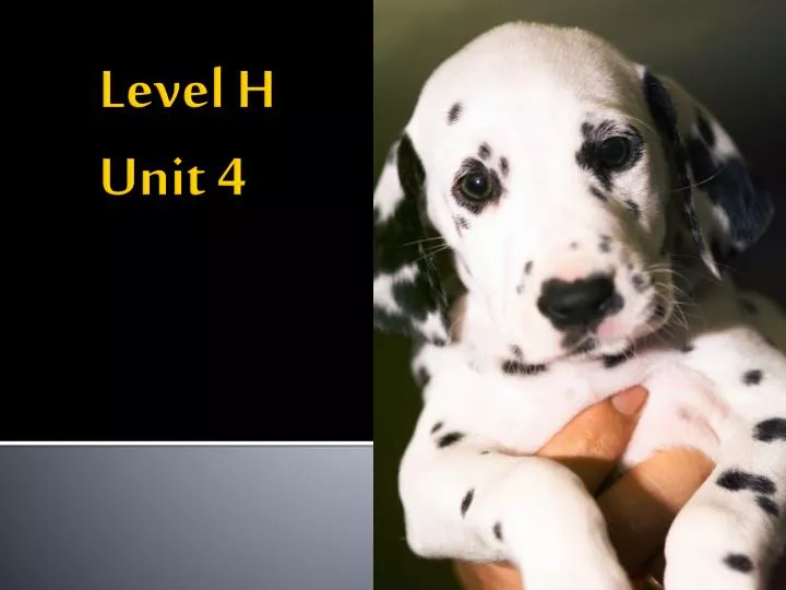 level h unit 4