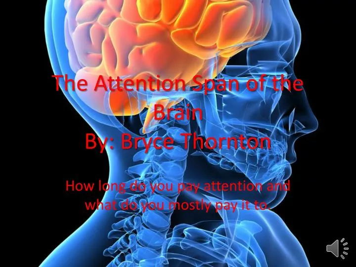 the attention span of the brain by bryce thornton