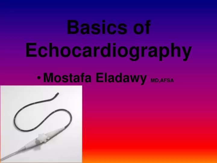 basics of echocardiography
