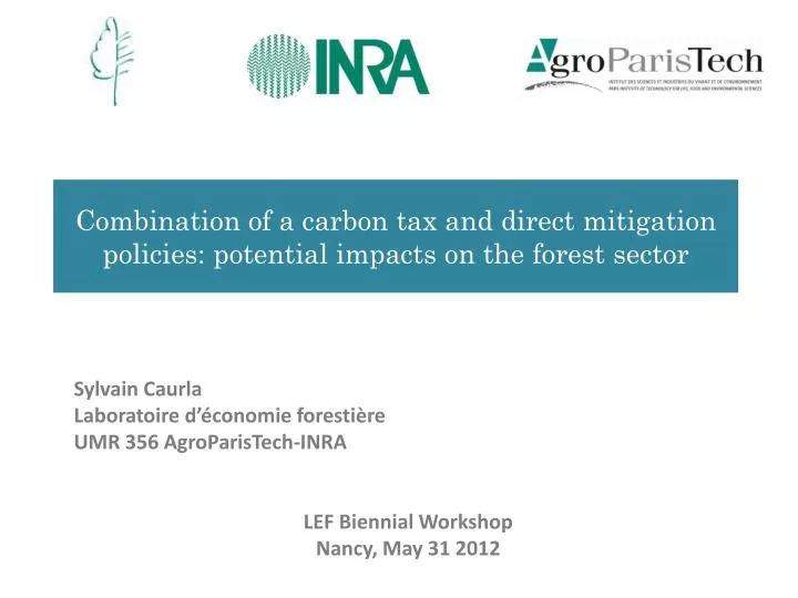 combination of a carbon tax and direct mitigation policies potential impacts on the forest sector