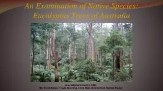 An Examination of Native Species: Eucalyptus Trees of Australia