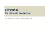 Bufferstrips for biomass production - slide 1
