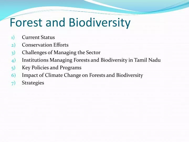 forest and biodiversity