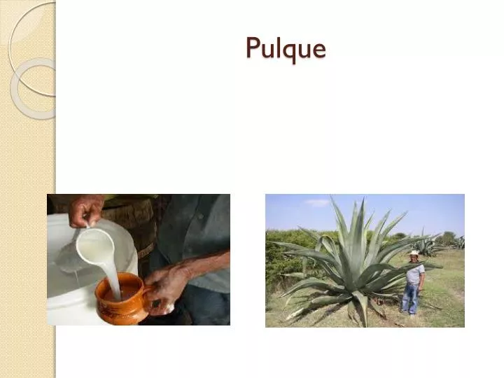 pulque