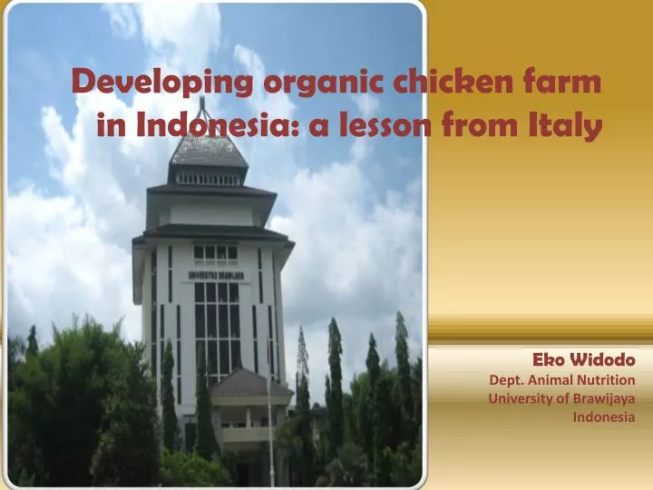 developing organic chicken farm in indonesia a lesson from italy