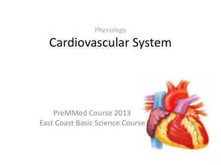Physiology Cardiovascular System