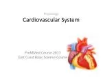 Physiology Cardiovascular System - slide 1