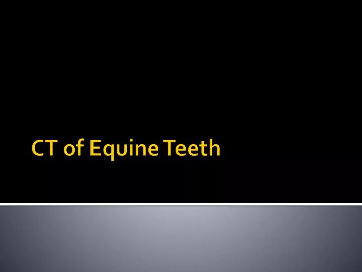 ct of equine teeth